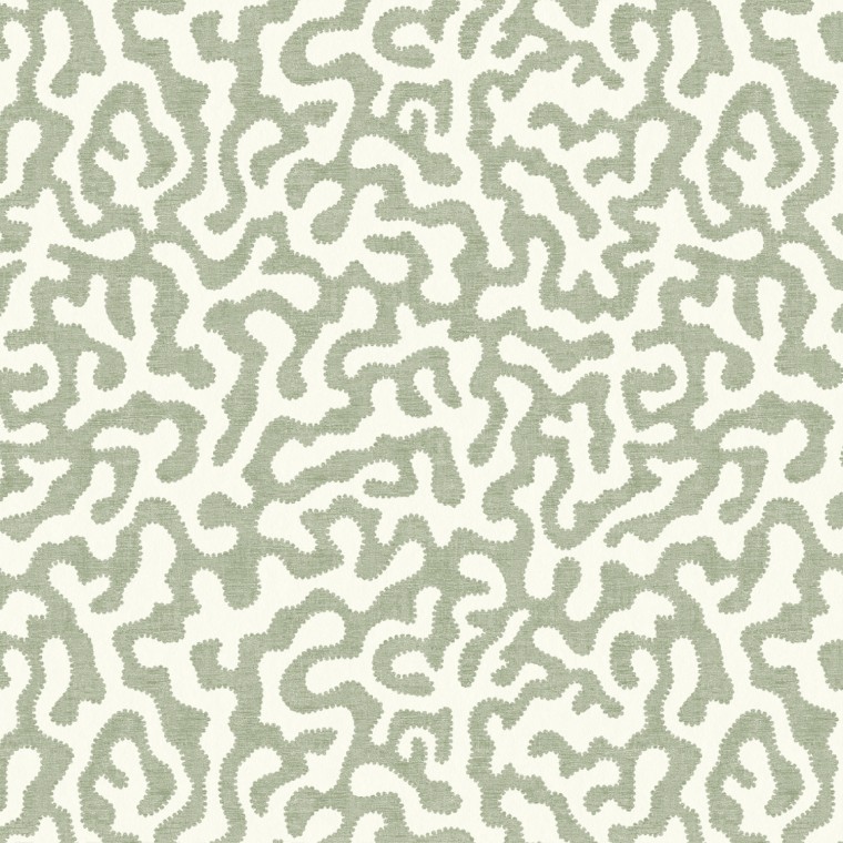 Pakko Sage Wallpaper