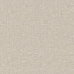 Fabric Asha Taupe Plain Flat