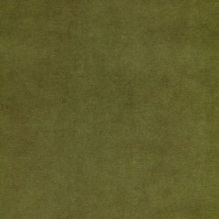 Fabric Cosmos Moss Plain Flat