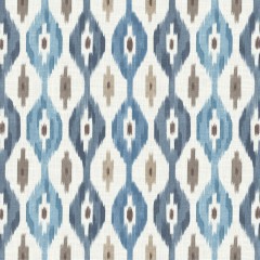 Fergana Chambray Printed Cotton Fabric