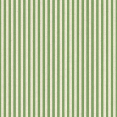 Ischia Cactus Roman Blind