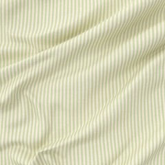 Ischia Fern Roman Blind