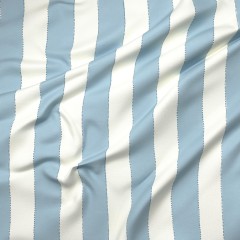 Rama Blue Printed Cotton Fabric