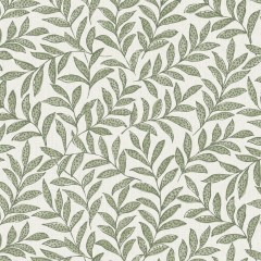 Rasika Sage Printed Cotton Fabric