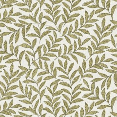 Rasika Willow Roman Blind
