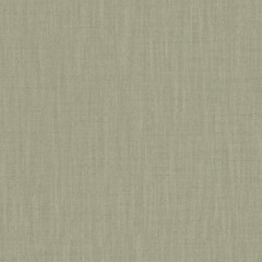 Fabric Zuri Eucalyptus Plain Flat