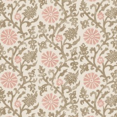 Mevlana Blush Wallpaper