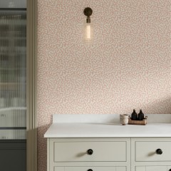 Pakko Rose Wallpaper