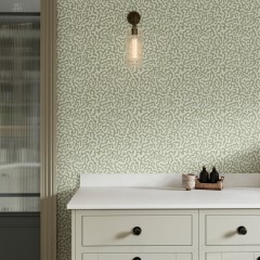 Pakko Sage Wallpaper