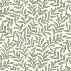 Rasika Sage Wallpaper