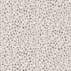 Wallpaper Sierra Pumice Flat