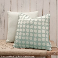 Jebel Duck Egg Printed Cotton Cushion 43cm x 43cm