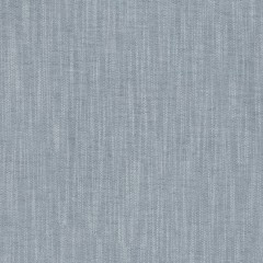 Amina Denim Woven Fabric