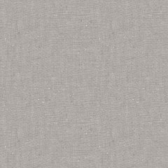 Fabric Asha Smoke Plain Flat