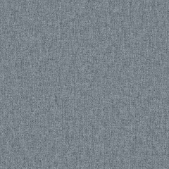 Bisa Denim Woven Fabric