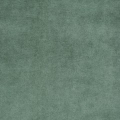 Cosmos Celadon Velvet Fabric