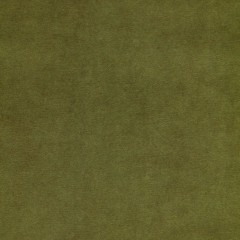 Fabric Cosmos Moss Plain Flat