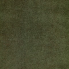 Fabric Cosmos Olive Plain Flat