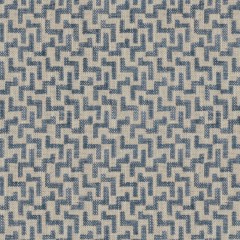 Desta Denim Woven Fabric