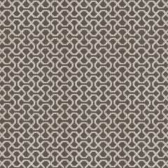 Sabra Charcoal Woven Fabric