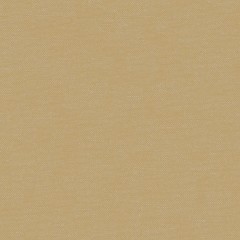 Fabric Shani Ochre Plain Flat