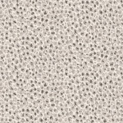 Fabric Sierra Pumice Print Flat