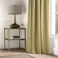 Shani Moss Curtains