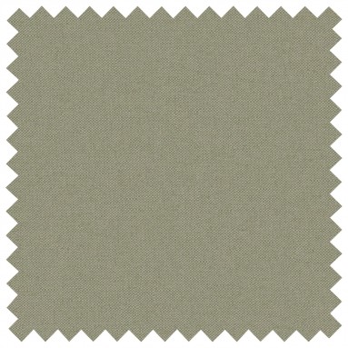 Fabric Shani Sage Plain Swatch