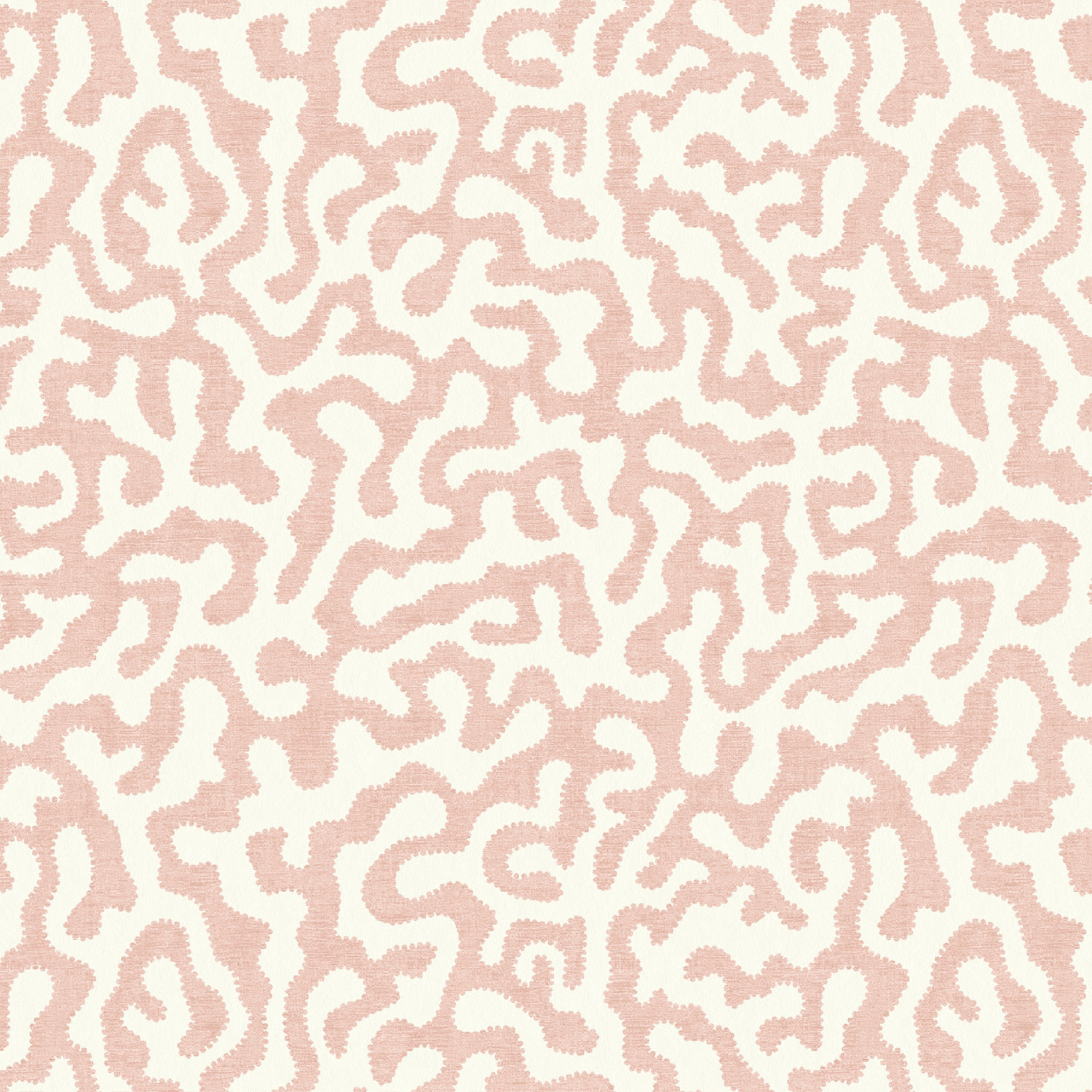 Pakko Rose Wallpaper